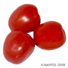 Picture of TOMATO EGG (ROMA)  LRG