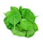 Picture of SALAD BABY SPINACH LEAVES