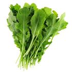 Picture of LETTUCE ROCKET BUNCH