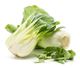 Picture of BOK CHOY