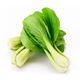 Picture of BOK-CHOY BABY
