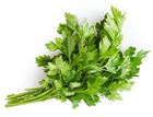 Picture of PARSLEY CONTINENTAL BUNCH