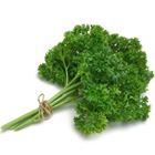 Picture of PARSLEY AUSTRALIAN BUNCH
