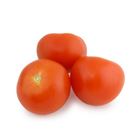 Picture of TOMATO ROUND LARGE