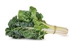 Picture of SPINACH