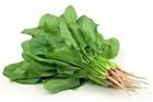 Picture of SPINACH ENGLISH