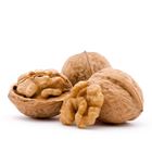 Picture of WALNUTS IN SHELL